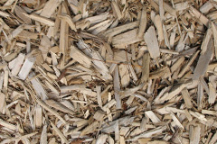 biomass boilers Traquair